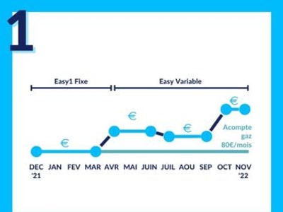 Graphique portant sur le changement d'un tarif fixe vers un variable