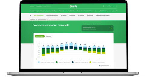 Graphique montrant la consommation d&#039;énergie mensuelle, avec des tendances claires et une comparaison de la consommation d&#039;électricité et de gaz pour un meilleur aperçu et des économies.