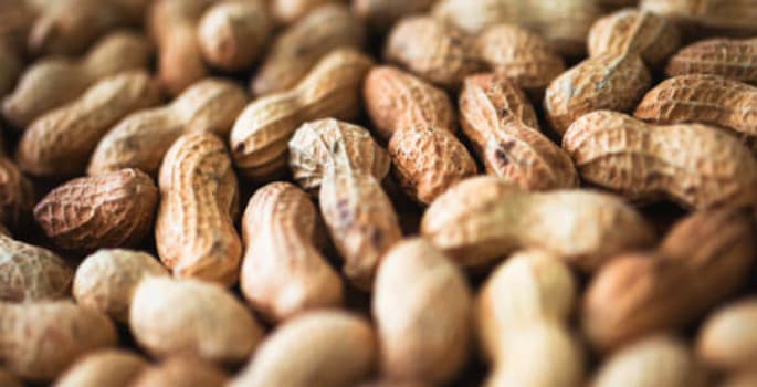 Parmi les isolants étonnants, ceux à base de coques de cacahuètes