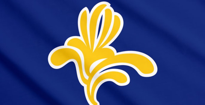 Drapeau de la région de Bruxelles-Capitale