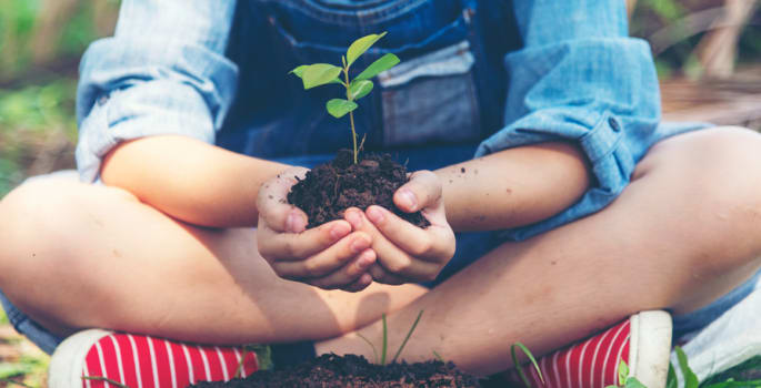 Hoe de biodiversiteit beschermen?