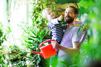 Faire confiance aux plantes comme airco naturel
