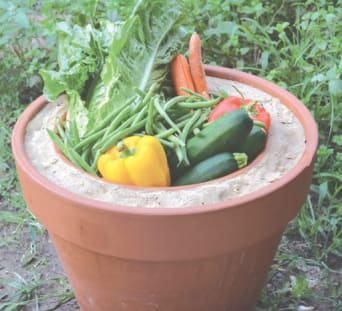 Zeer pot, le frigo du désert