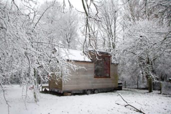 Tiny house te midden van de Belgische natuur