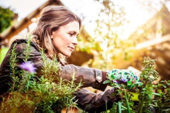 Bien jardiner en prenant soin de l’environnement