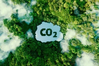 Samen met België naar «Net Zero Carbon»
