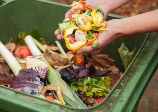 Compost