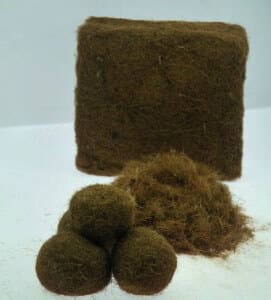 Les fibres de l’algue posidonie peuvent être transformée en un isolant pour le toit et les murs