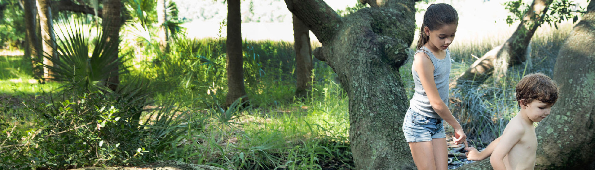 Kinderen in het bos op zoek naar energie