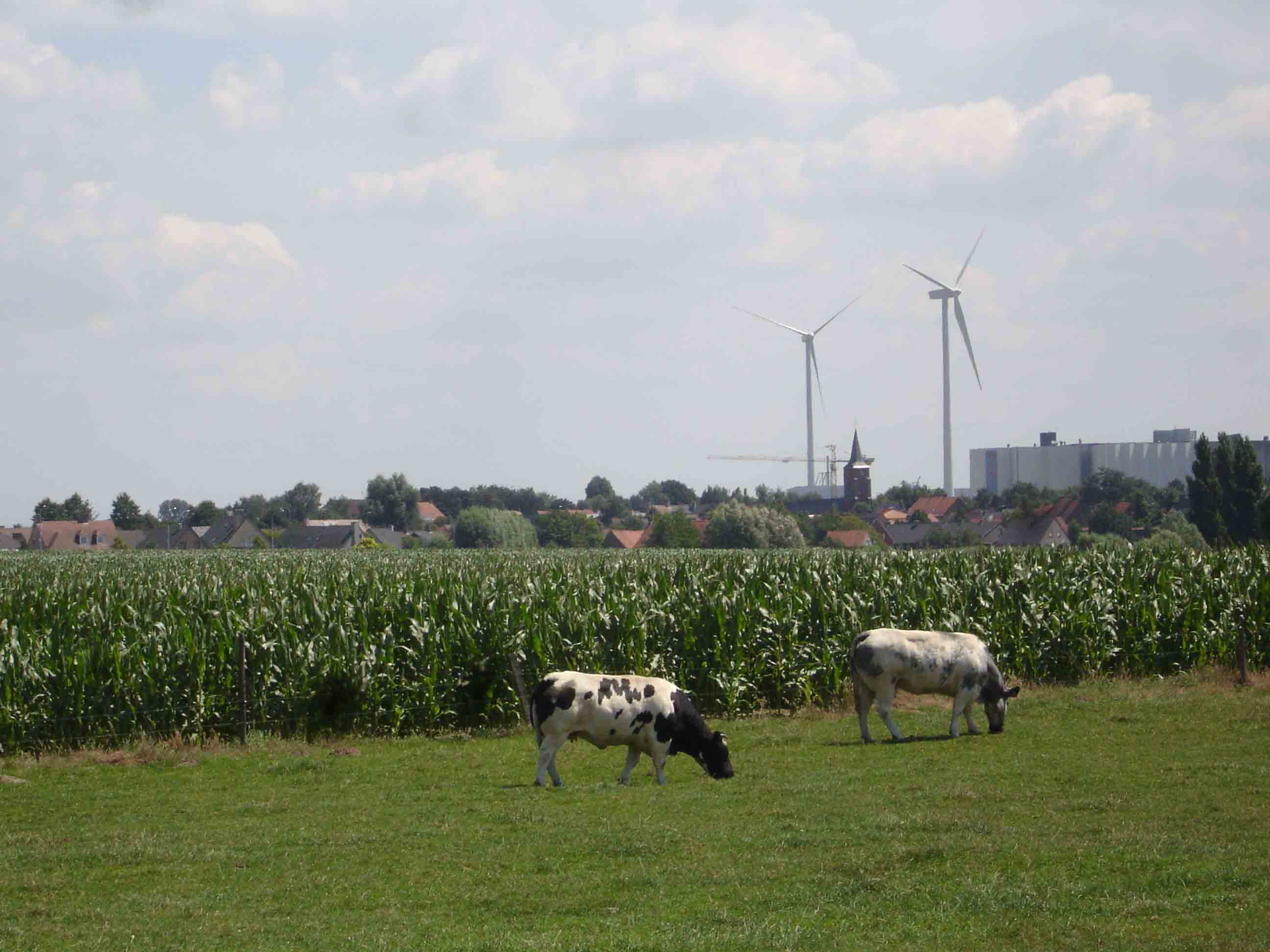 De windturbine van Izegem