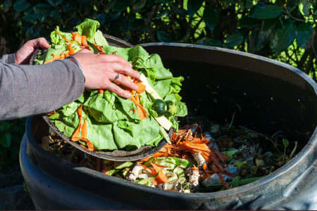 leven zonder afval_compost_belangrijk