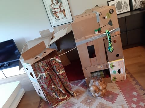 Een kartonnen huis op kindermaat