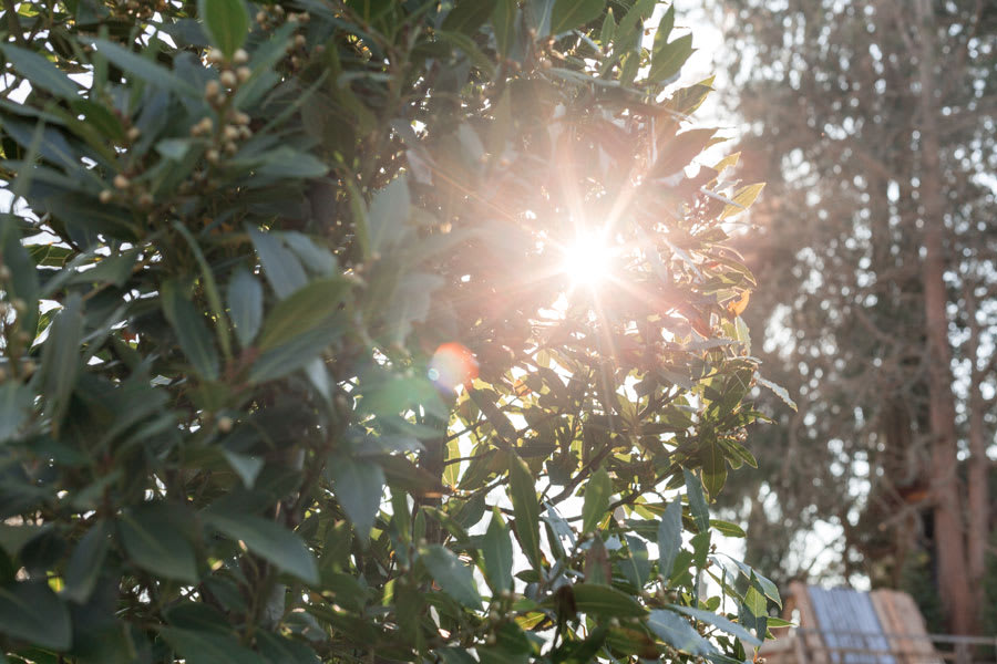 Je woning laten verwarmen door de zon