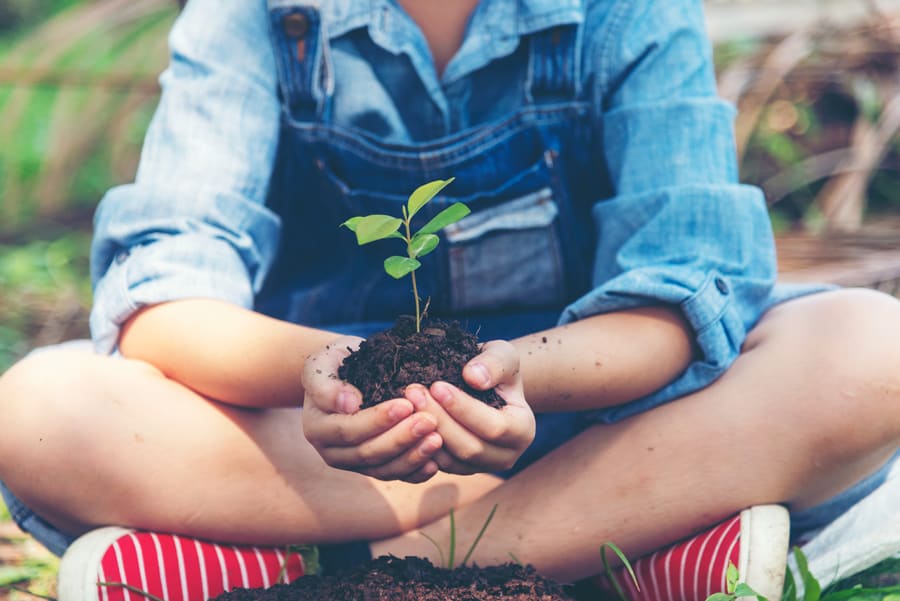 Hoe de biodiversiteit beschermen?