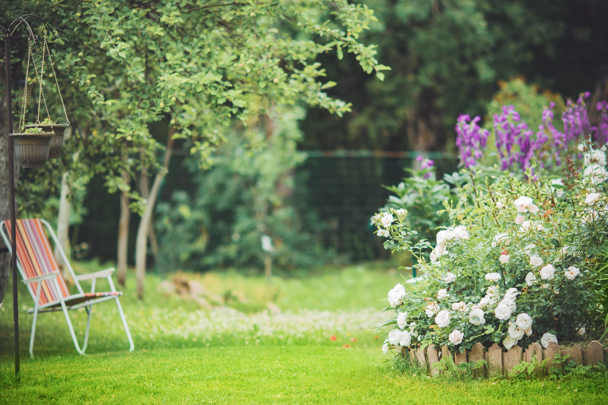 oiseaux_jardin_nourrir_nicher_biodiversite_migration_mangeoire_nichoir_plantes_insectes_graines_haie_fleurs_ecologie_especes_protection_abri_diversite_pesticides_engagement_RSE_planete