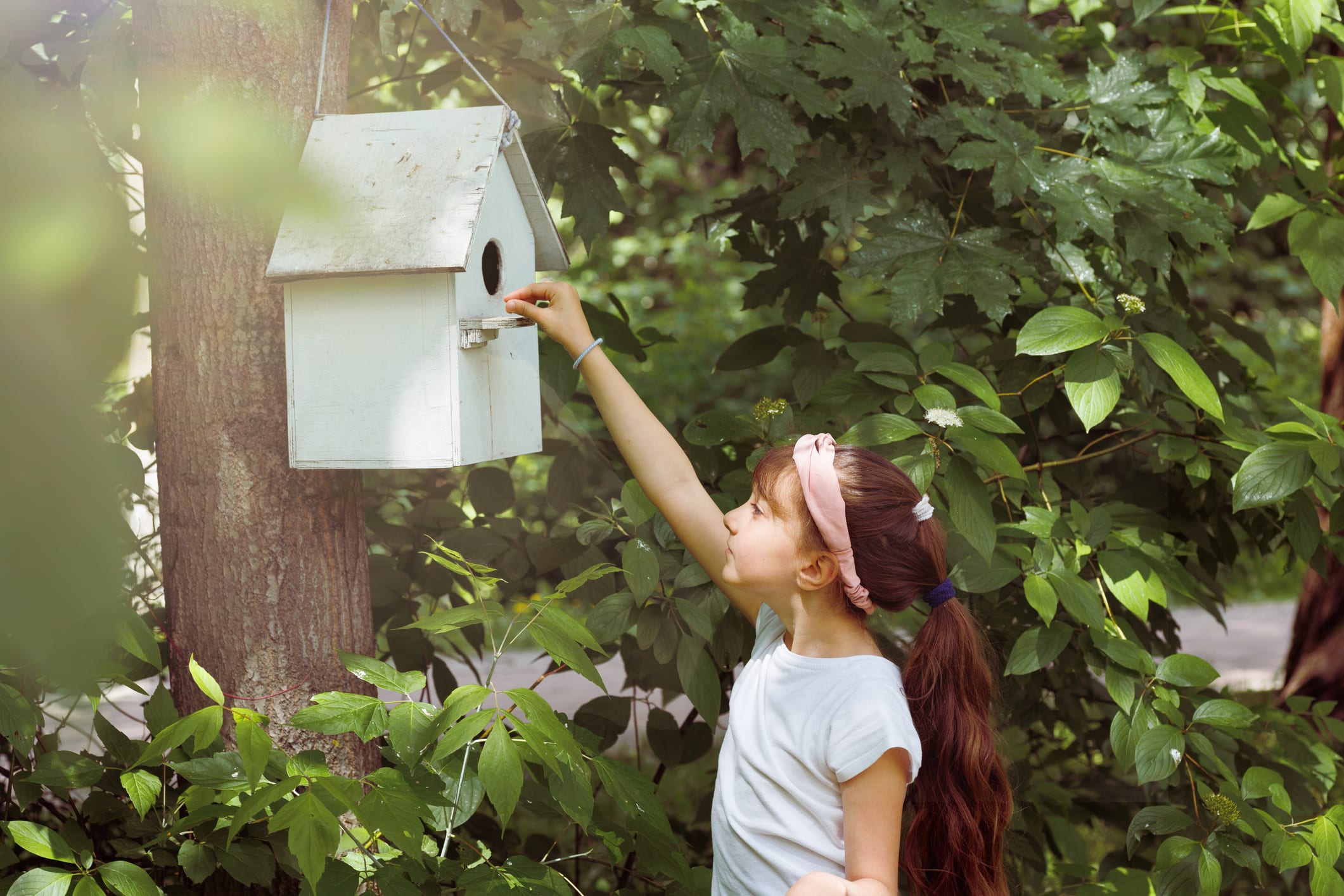 vogels_tuin_voeden_nest_maken_biodiversiteit_volgeltrek_voederbakje_nestkastje_planten_insecten_zaadjes_haag_bloemen_ecologie_soorten_bescherming_diversiteit_pesticiden_inzet_MVO_planeet