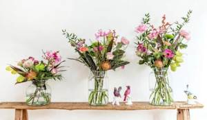 bloomon - des fleurs qui sautent aux yeux